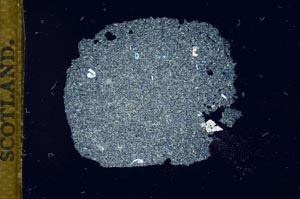 Cross Polarized, S14444