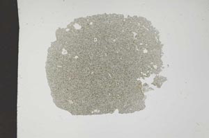 Plane Polarized, S14444