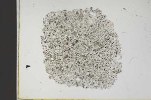 Plane Polarized, S14445