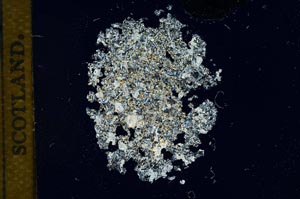 Cross Polarized, S14447