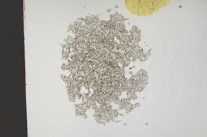 Plane Polarized, S14447