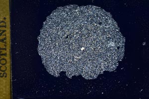 Cross Polarized, S14449