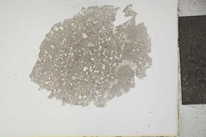 Plane Polarized, S14452