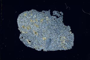 Cross Polarized, S14455