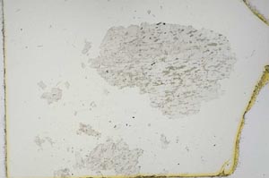 Plane Polarized, S14484
