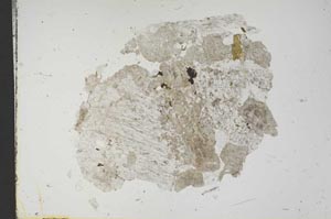 Plane Polarized, S14487
