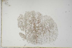 Plane Polarized, S14488