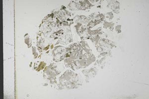 Plane Polarized, S14496