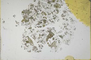 Plane Polarized, S14497