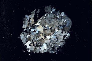 Cross Polarized, S14519