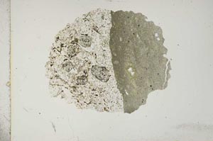 Plane Polarized, S14521