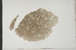 Plane Polarized, S14524
