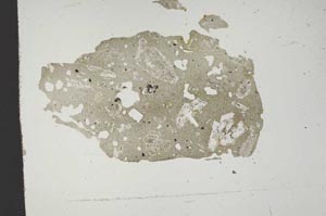 Plane Polarized, S14528
