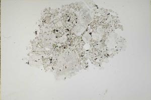 Plane Polarized, S14531
