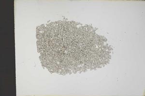 Plane Polarized, S14559