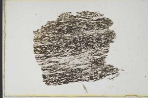 Plane Polarized, S14579