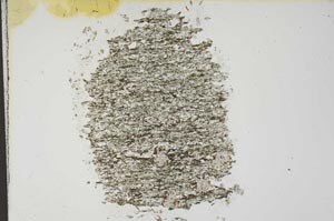 Plane Polarized, S14580