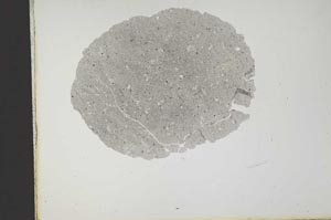 Plane Polarized, S14585