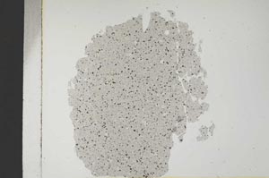 Plane Polarized, S14587