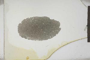 Plane Polarized, S14626