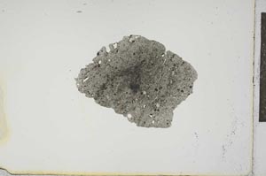 Plane Polarized, S14640