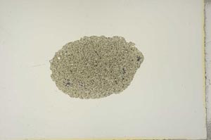 Plane Polarized, S14644