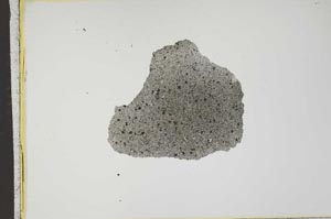 Plane Polarized, S14660
