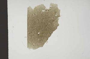 Plane Polarized, S14665