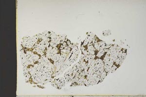 Plane Polarized, S14667