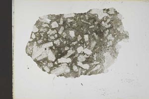 Plane Polarized, S14676