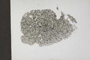 Plane Polarized, S14696