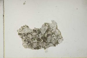 Plane Polarized, S14705