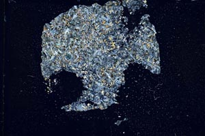 Cross Polarized, S14738