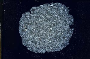 Cross Polarized, S14753