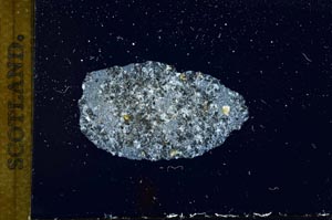 Cross Polarized, S14775