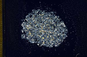 Cross Polarized, S14815