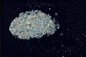 Cross Polarized, S14828