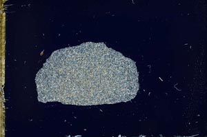 Cross Polarized, S14848