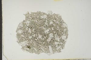 Plane Polarized, S14857