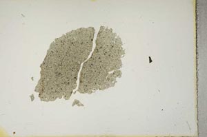 Plane Polarized, S14860