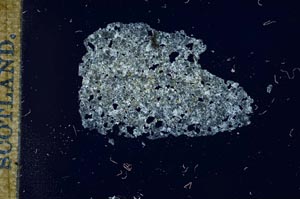 Cross Polarized, S14866