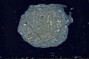 Cross Polarized, S14877