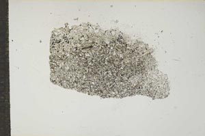 Plane Polarized, S14892