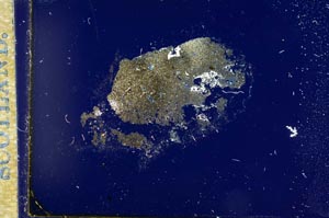 Cross Polarized, S14897