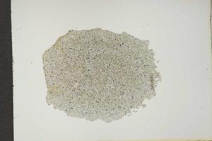 Plane Polarized, S14905