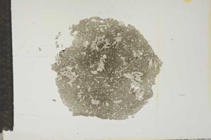 Plane Polarized, S14929