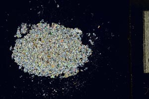 Cross Polarized, S14935