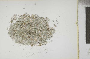 Plane Polarized, S14935