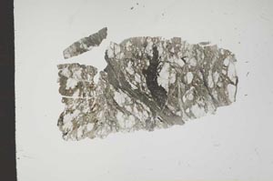 Plane Polarized, S14937