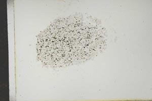 Plane Polarized, S14943
